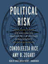 Cover image for Political Risk
